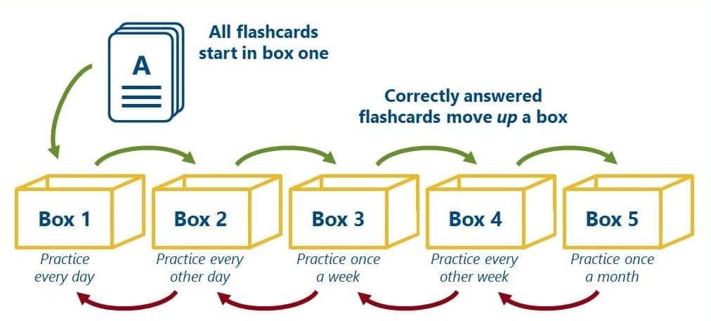 Master Your Learning: Complete Guide to Quizzes and Leitner Box